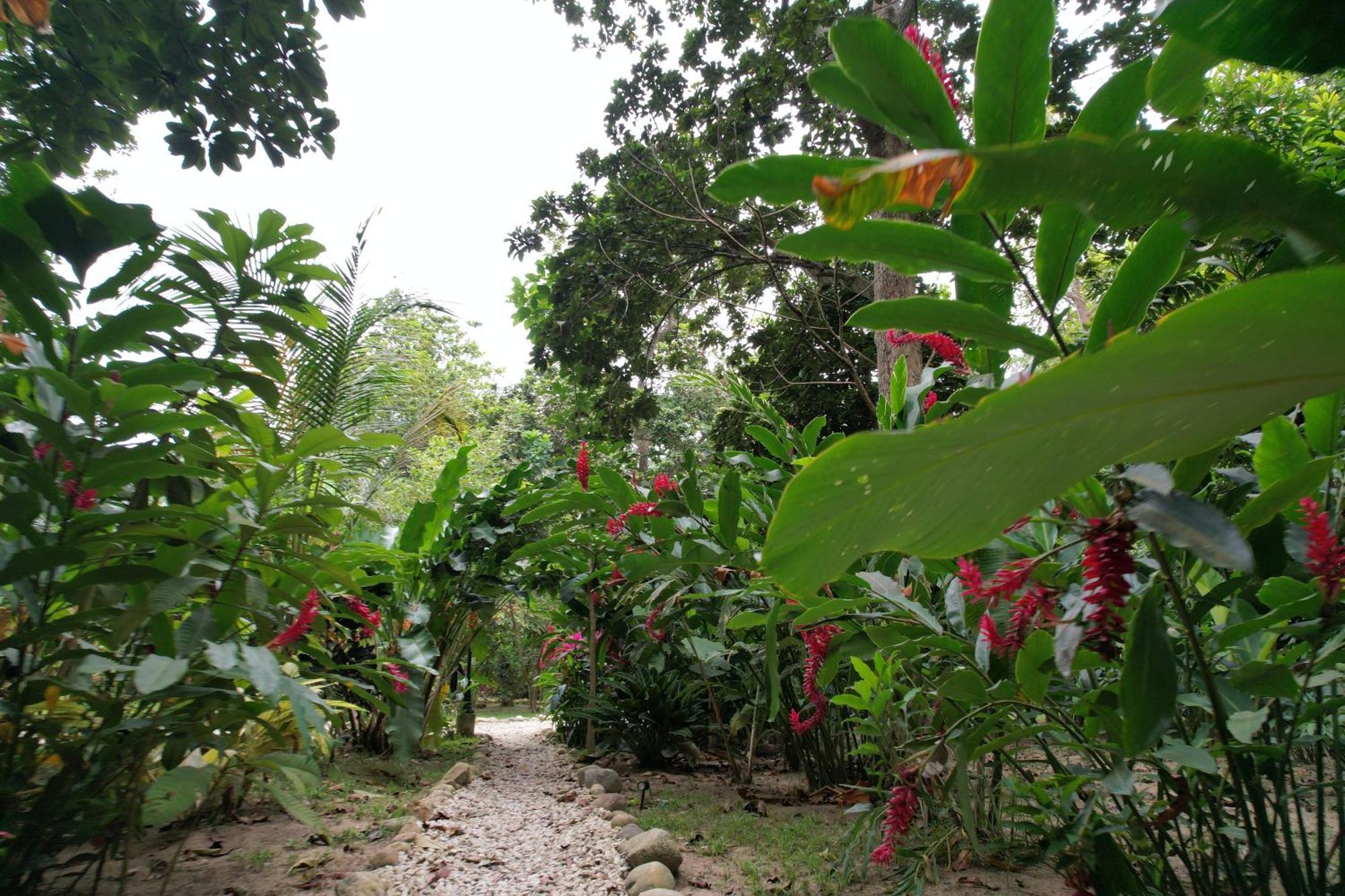 Отель Salvia Madre Гуачака Экстерьер фото